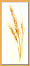 stalks of wheat food art painting
