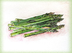 food art painting of asparagus for soups recipes