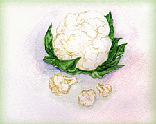 food art painting of Cauliflower for soups and chili recipes
