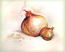 food art painting of Onions for soups and chili recipes