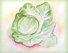 food art painting of cabbage for soups and chili recipes site