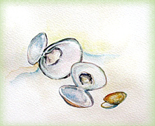 food art painting of clams for soups and chili recipes